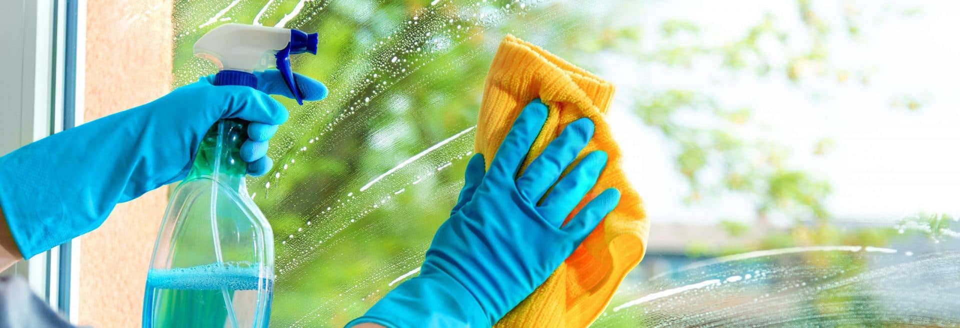 home window cleaning texas best dfw texas